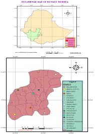 It was formed from the merger of five kililoch, called regions 7 to 11. An Ethnobotanical Study Of Medicinal Plants In Wonago Woreda Snnpr Ethiopia Journal Of Ethnobiology And Ethnomedicine Full Text