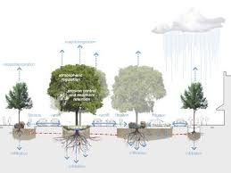 Low Impact Development A Design Manual For Urban Areas Ecology Design Urban Design Sponge City