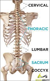Healing time for an injured tailbone depends on the severity of the injury. Tailbone Pain Coccydynia Is It A Coccyx Bruise Or Fracture