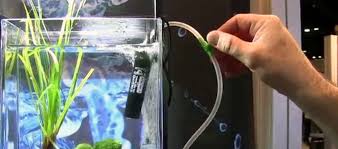 Semarang barat, semarang kota 01 jul. Daftar Harga Tabung Oksigen Untuk Ikan Daftar Harga Tarif