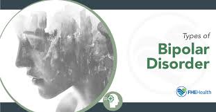 Bipolar disorder can cause severe disruption to a person's. Types Of Bipolar Disorder