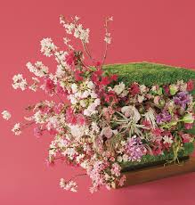 flower art spring flowers