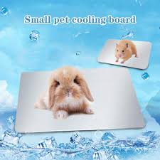 Pictures of cute puppies and kittens and bunnies and hamsters and many more. Small Animals Pet Cool Plate Ice Bed Pesandy Rabbit Cooling Pad Hamster Cooling Pad Pet Cooling Mat For Rabbit Bunny Hamster Puppy Kitten Guinea Pig Other Small Pets Stay Cool This