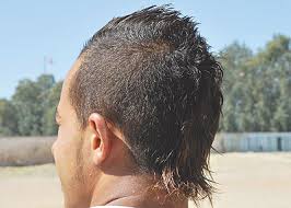 أنواع قصات الشعر وأسماؤها للنساء. Ù‚ØµØ§Øª Ø§Ù„Ø´Ø¹Ø± Ø§Ù„ØºØ±ÙŠØ¨Ø© Ù‡Ø§Ø¬Ø³ Ø´Ø¨Ø§Ø¨ Ø§Ù„Ù…Ø¯Ù† Ø§Ù„Ù…ØºØ±Ø¨ÙŠØ©