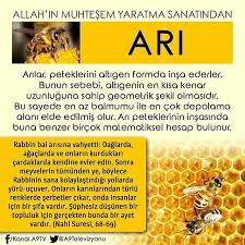 Adnan Oktar Adli Kullanicinin Bilgi Kupu Panosundaki Pin Bilgi