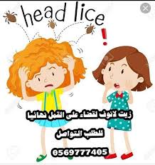 الآن نوفر لكي الحل الوحيد للقضاء على القمل بطريقة فعاله ومضمونه وامنة جدا وايضا يحمي شعر طفلكي من اي عدوى بالمستقبل مجرب من قبل ا Head Louse Peanut Comics