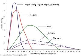 Insulin Glargine Injection Insulin Peak Action Chart