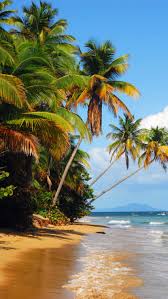 Download a stunning and cool 4k wallpaper and make your background stand out. Iphone 6 Plus Culebra Desktop Wallpaper Beach 4k Resolution Beaches Transparent Png