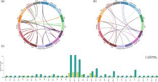 The purpose of cancers is emotional security, sexual and intellectual instincts. Cross Cancer Evaluation Of Polygenic Risk Scores For 16 Cancer Types In Two Large Cohorts Nature Communications