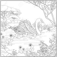 Malbuch Fur Erwachsene Und Altere Kinder Malvorlage Mit Schonen Mutter Swan Und Ihre Kleine Kuken Im See Garten Lizenzfrei Nutzbare Vektorgrafiken Clip Arts Illustrationen Image 60503221