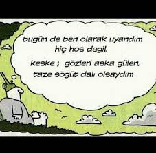 Thinksforlife Adli Kullanicinin Sozler Panosundaki Pin Alintilar Komik Mizah