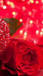 Wallpaper Rose 5k 4k Wallpaper Heart Valentine S Day Love Romance Red Romantic Nature 8317 Free download high quality wallpapers gorgeous images. wallpaper rose 5k 4k wallpaper heart