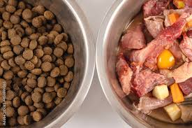 Two bowls with dog food, processed and ...