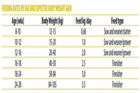 49 Valid Pig Feeding Chart