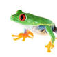 Mid Atlantic Reptile Expo