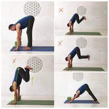 Dann bist du hier bei lotus design genau richtig. Yoga Sonnengruss Anleitung Fur Yoga Anfanger Pdf Zum Ausdrucken