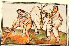 Antedecentes