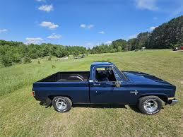 Image result for Blue 1985 Truck