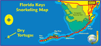 Dry tortugas national park is a popular key west destination for campers, treasure hunters, and tourists all over the world. Snorkeling Dry Tortugas National Park The Best Near Key West