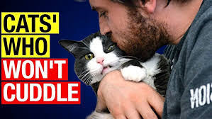 Antonio Pavoni's Instagram, Twitter & Facebook