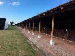 Más de 25 mil colombianos tendrían sus bienes confiscados por el estado, al parecer, una gran cantidad de los dueños de estas propiedades no habrían. A Extincion De Dominio 68 Bienes Del Primo De Alias Don Diego Vanguardia Com