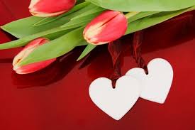 Maybe you would like to learn more about one of these? Romantic Love Flower Free Stock Photos Download 12 413 Free Stock Photos For Commercial Use Format Hd High Resolution Jpg Images