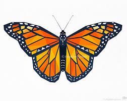 Get inspired by our community of talented artists. Popular Items For Butterfly Monarch On Etsy Butterfly Tattoos For Women Butterfly Tattoo Butterfly Tattoo Designs