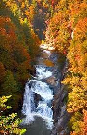 Flipkey has thousands of reviews and photos to help you plan your memorable trip. Campground Details Tallulah Gorge State Park Ga Georgia State Parks Historic Sites