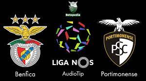 Benfica lisbon have kept a clean sheet in 7 matches in a row. Sl Benfica Vs Portimonense Sc Liga Nos 29 12 2020 Audiotip Youtube
