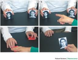 Splitter is added in image, user can drag and place the splitter in the position, where they want to split also there is an option to add additional splitters to cut image in to more pieces. Attention And Awareness In Stage Magic Turning Tricks Into Research Nature Reviews Neuroscience