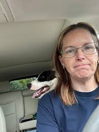 Friendly stray dog needs rescue from work