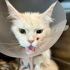 Molly è arrivata al...