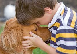 We have put together ongoing staff training to ensure you with the best pet knowledge to match every. Why We Love Our Pets According To Science Chicago Tribune