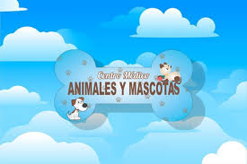 centro medico animales y mascotas