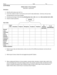 *complete this mitosis timeline virtual lab. Virtual Lab Answers
