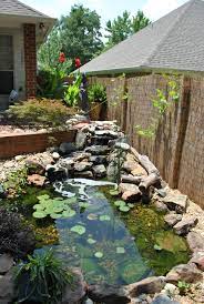 Backyard Pond In Frisco Tx With Awesome Bamboo Fence Ponds Backyard Pond Landscaping Outdoor Ponds