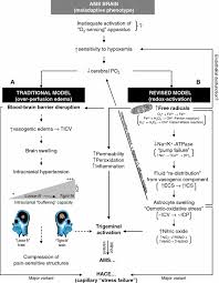 Image result for High Altitude Edema