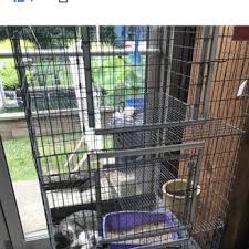 Our staff is dedicated to upholding notable veterinary standards to provide your pet with superior care in a welcoming, relaxed environment. Family Pet Garden Center 13 Reviews Pet Stores 25 Washington St Pembroke Ma Phone Number