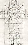 The area of a circle or square could be easily calculated individually, but the real challenge laid in constructing a square with the same area as a given circle. Vitruvianischer Mensch Wikipedia
