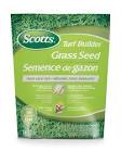 Shady Grass Seed, 1-kg Turf Builder