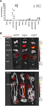 Smiley de unde vii la ora asta official video. Glp 1r Is Downregulated In Beta Cells Of Nod Mice And T1d Patients Biorxiv