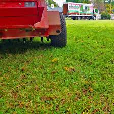 Mow low before overseeding your thin lawn, cut your grass shorter than normal and bag the clippings. How To Prep Lawn For Reseeding Pplm 804 530 2540