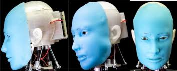 Usa female full name list. Facially Expressive Humanoid Robotic Face Sciencedirect