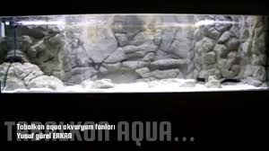 Home Decoration Aquarium Ariololino Allmodern Giorgiobertozzi Akvaryum