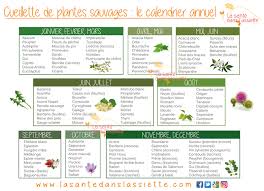 Epingle Sur Jardin Et Exterieur