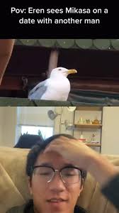 In the first chapter of the manga, eren sees the birds he would become in the future (photo: Eren Jaeger Bird Meme Video In 2021 Attack On Titan Attack On Titan Meme Anime Memes Funny