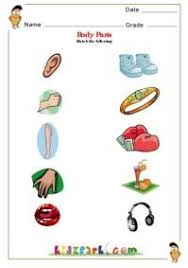 E41aa339f2e6963056f13fc46e55e195 Jpg 199 283 Human Body Activities Activity Sheets For Kids Human Body Science
