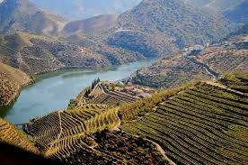 The match is a part of the brasileiro serie b. Vila Nova De Gaia Portugal Tourismus In Vila Nova De Gaia Tripadvisor