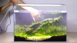 Best 25 aquascaping ideas on pinterest aquarium fish. Diy Aquarium Fish Tank Ideas Mr Decor Step By Step How To Plant An Aquascape Dutch Style Diy Aquarium Fish Tank Mr Decor Facebook