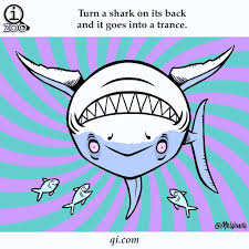 Kiddopedia team brings you 99 interesting facts about animals that will make you smarter. 17 Weird And Fun Animal Facts For Kids Ideas Animal Facts For Kids Animal Facts Facts For Kids